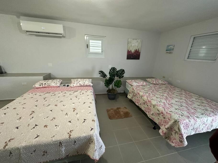 Oceanview 2 Apartment Guayama Luaran gambar